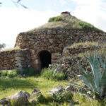 Una campagna pugliese con diverse specie vegetali tipiche del territorio ed un trullo integrato nell'ambiente circostante